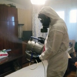 Дезинфекция от клопов в Дубне