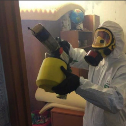 Уничтожение клопов в квартире. Дубна